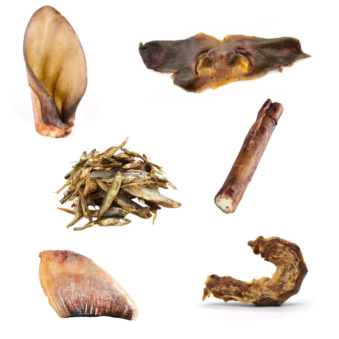 box découverte de friandises pour chiens