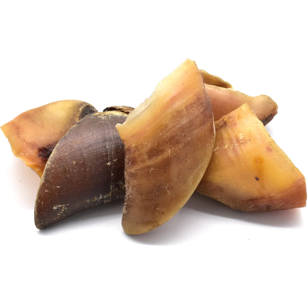 sabot de boeuf pour chiens