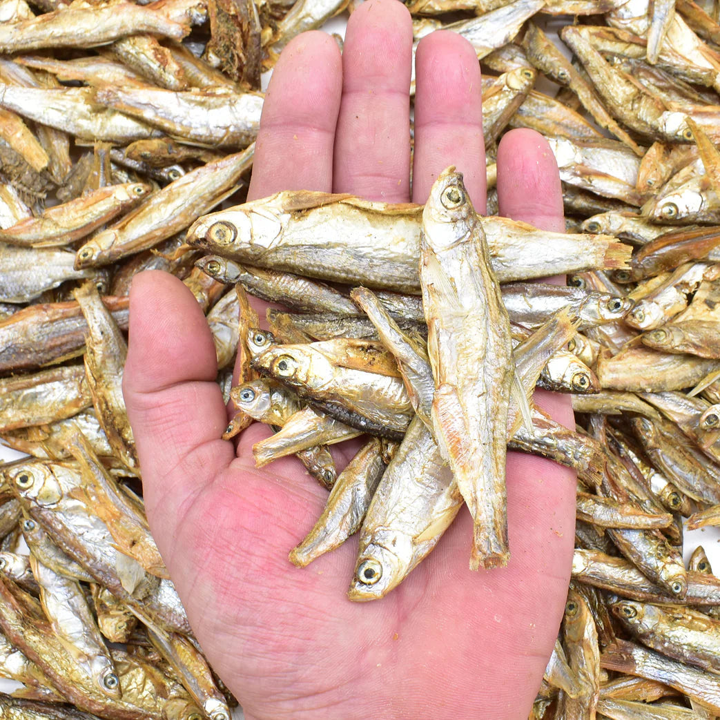 sprats friandise naturelle pour chiens